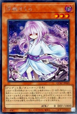 12/饹Ȱ㤤1 QCAC-JP049 ͩ ڥåȥ쥢