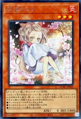 12/饹Ȱ㤤1 QCAC-JP050 ή ڥåȥ쥢