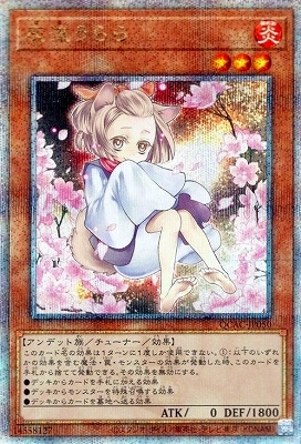 12/饹Ȱ㤤1 QCAC-JP050 ή ڥ꡼åȥ쥢