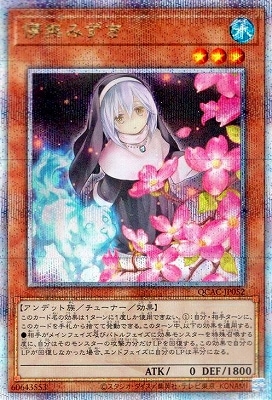 12/饹Ȱ㤤1 QCAC-JP052 ѳ̵ߤ ڥ꡼åȥ쥢