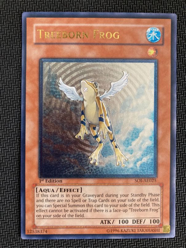 ڥʰ¡ۡڵ쥢SOI-AE025 TREEBORN FROGڥƥåȥ쥢ۡʲ
