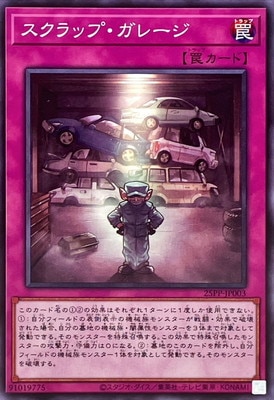 25PP-JP003 ������åס����졼��