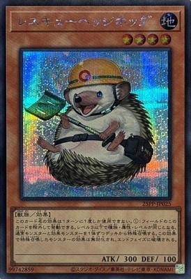 25PP-JP025 �쥹���塼�إå��ۥå��ڥ�������åȥ쥢��