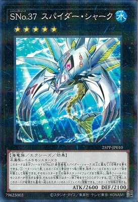 25PP-JP010 �ӣΣ�.���� ���ѥ����������㡼���ڥΡ��ޥ�ѥ����