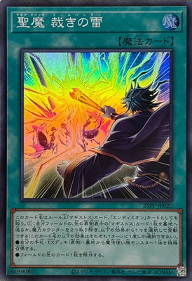 25PP-JP020 ���� �ۤ�����ڥ����ѡ��쥢��