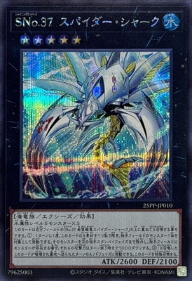 25PP-JP010 �ӣΣ�.���� ���ѥ����������㡼���ڥ�������åȥ쥢��