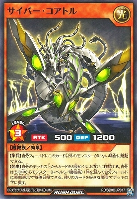 RD/SD0C-JP017 �����С��������ȥ�