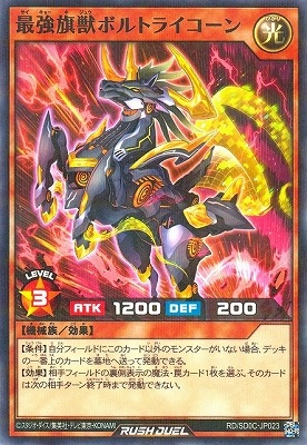 RD/SD0C-JP023 �Ƕ����åܥ�ȥ饤������ڥΡ��ޥ�ѥ���쥢��