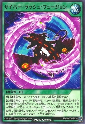 RD/SD0C-JP029 �����С�����å��塦�ե塼�����