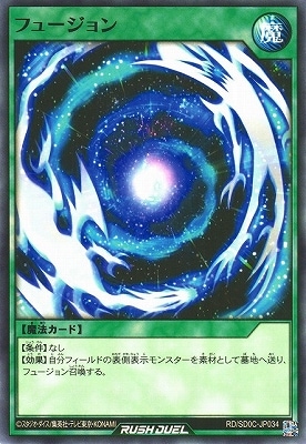 RD/SD0C-JP034 �ե塼�����