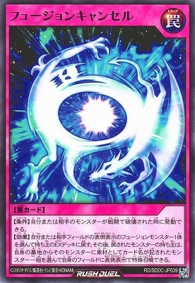 RD/SD0C-JP039 �ե塼����󥭥�󥻥�