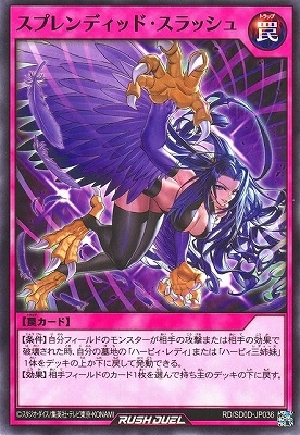 RD/SD0D-JP036 ץǥåɡå