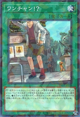 12/DBJH-JP028 󡪡 ڥΡޥѥ