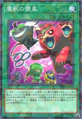 12/DBJH-JP029 äβ ڥΡޥѥ