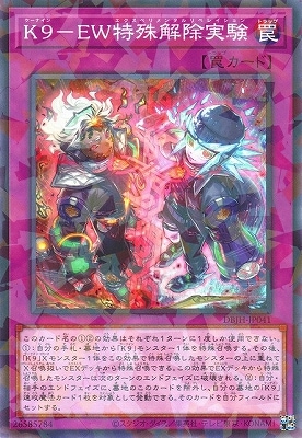 12/DBJH-JP041 ˣݣţü¸ڥΡޥѥ