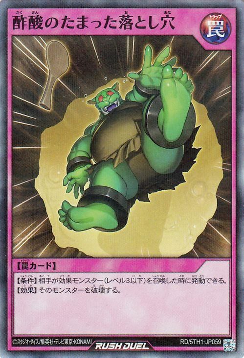 RD/5TH1-JP059 ݻΤޤäȤڥѡ쥢ѥ