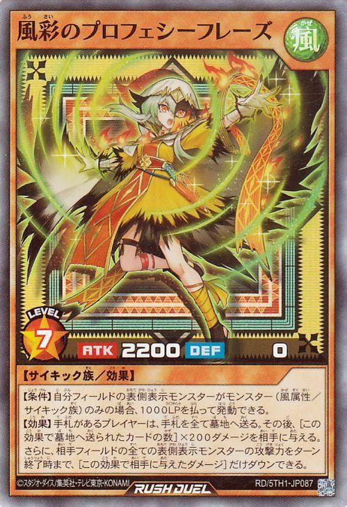 RD/5TH1-JP087 ���̤Υץ��ե������ե졼���ڥ����ѡ��쥢��