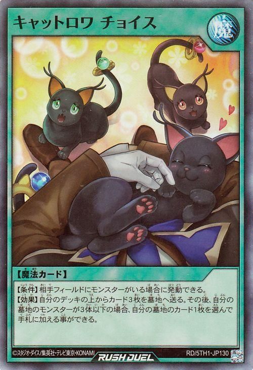 RD/5TH1-JP130 ����åȥ��� ���祤���ڥ����ѡ��쥢��