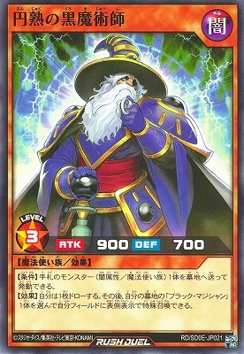 RD/SD0E-JP021 �߽Ϥι���ѻ�