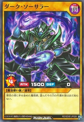 RD/SD0E-JP028 ���������������顼