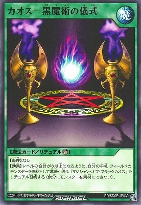 RD/SD0E-JP030 �������ݹ���Ѥε���