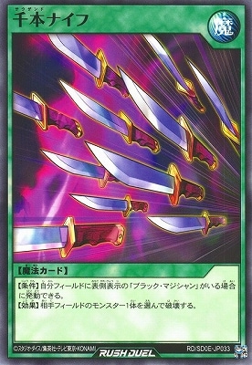 RD/SD0E-JP033 ���ܥʥ���