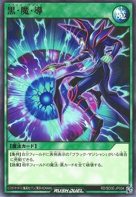 RD/SD0E-JP034 �����⡦Ƴ