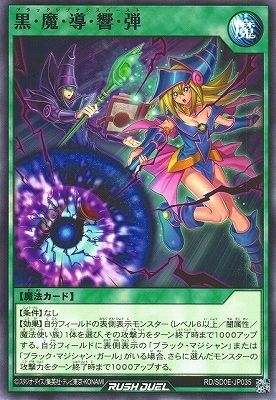 RD/SD0E-JP035 �����⡦Ƴ��������