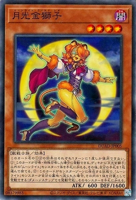 ��13��/01��/DUAD-JP005 �������