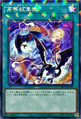 ȡʥȥѥå/24TP-JP509 Ͻ