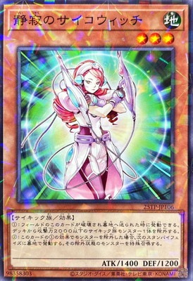 ȡʥȥѥå/25TP-JP106 żΥå