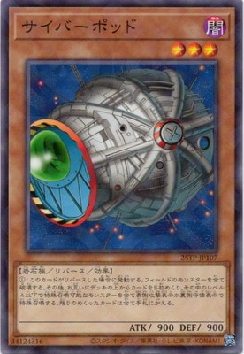 ȡʥȥѥå/25TP-JP107 Сݥå