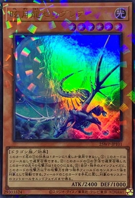 �����ʡ����ѥå�/25WP-JP101 ����ζ���쥰�쥢�ڥ���ȥ�쥢�ѥ����