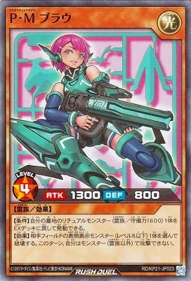 RD/KP21-JP023 �С��� �֥饦�ڥ����ѡ��쥢��