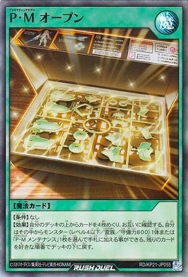 RD/KP21-JP055 С ץڥѡ쥢