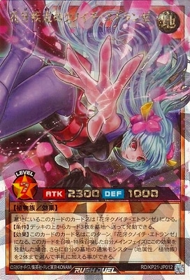 RD/KP21-JP012 ֲΥΥȥ󥼡ڥСå쥢