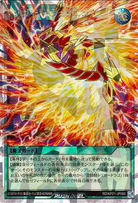 RD/KP21-JP060 ȥꥬɡ饤ȥ˥󥰡ڥСå쥢
