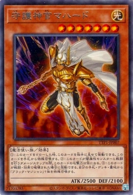 13/TTP1-JP007 ޥϡ R