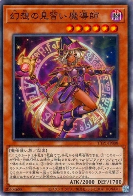 13/TTP1-JP008 ۤθƳ