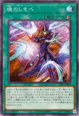 13/TTP1-JP020 Τ