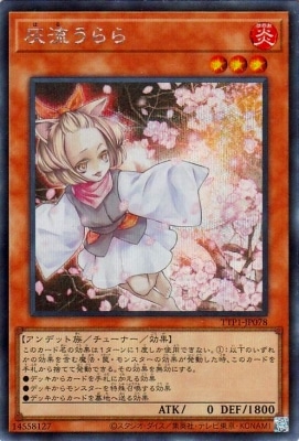 13/TTP1-JP078 ήڥåȥ쥢