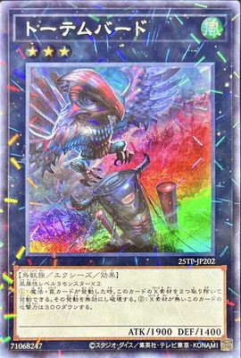 ȡʥȥѥå/25TP-JP202 ȡƥСɡڥѡ쥢ѥ