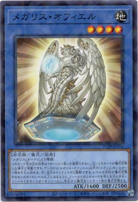 ȡʥȥѥå/25TP-JP206 ᥬꥹե