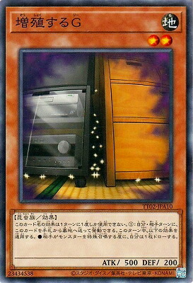 �ڥ����ʰ¡���13��/TT02-JPA10 ���������