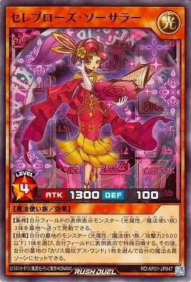 RD/AP01-JP047 ����֥��������������顼