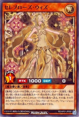 RD/AP01-JP050 ����֥�������������