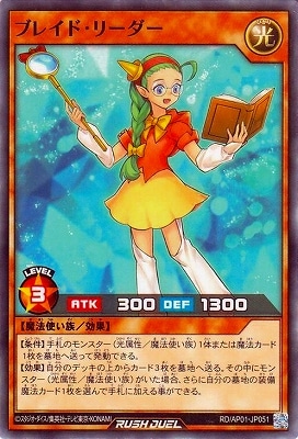 RD/AP01-JP051 �֥쥤�ɡ��꡼����