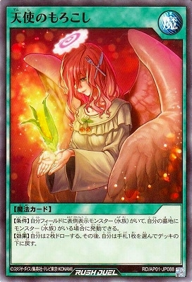 RD/AP01-JP088 ŷ�ȤΤ������