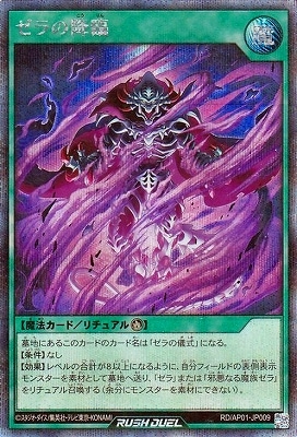 RD/AP01-JP009 ιסڥåȥ쥢