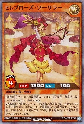 RD/AP01-JP047 ֥顼ڥѡ쥢ѥ